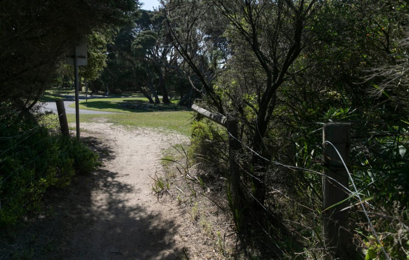 Royal Park Camping 1200px 08