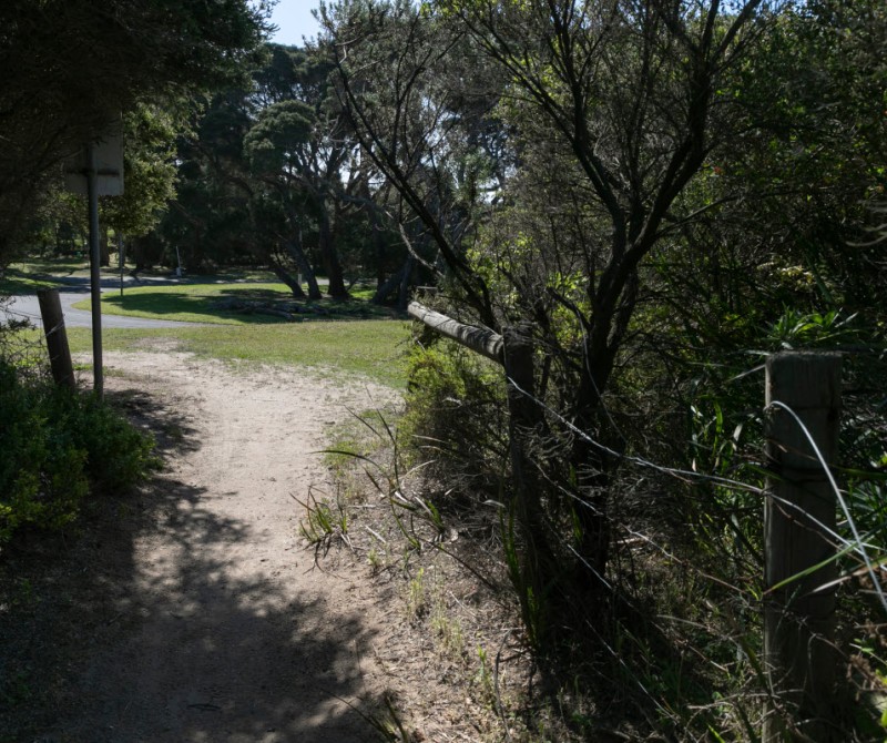 Royal Park Camping 1200px 08